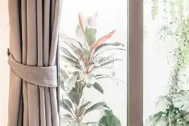 窗口期荷甲传出新动向，葡萄牙体育复出首秀，管理层表态：目标明确，控场能力受关注的简单介绍